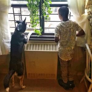 Meet your Posher, Dayvon